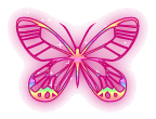 pink sparkly butterfly