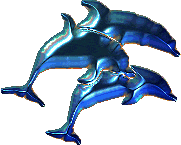 dolphin gif